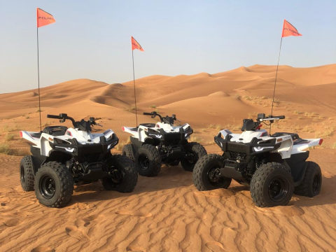 Dune Buggy Vs. ATV: Which One Is More Exciting?
