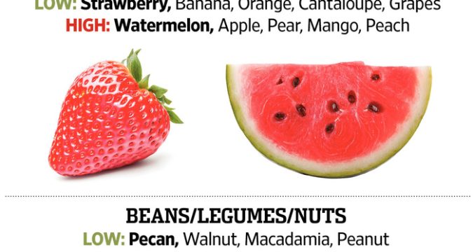 Exploring Various Types Of IBS Treatment